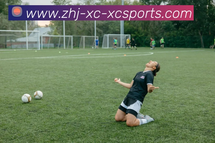 杏彩体育平台生态图